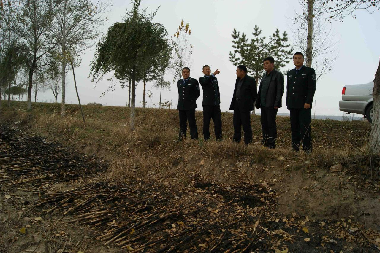 关于秸秆禁烧政策的争议，是否真正关乎农民利益还是管理策略的无奈？