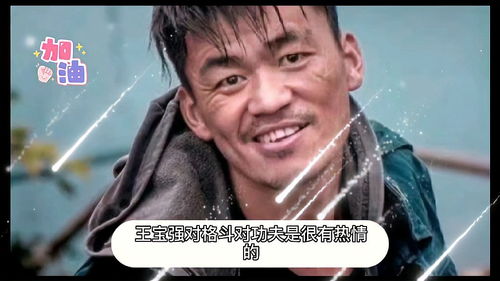 王宝强八角笼中采访片段深度解析与感悟，真挚情感与励志故事背后的故事