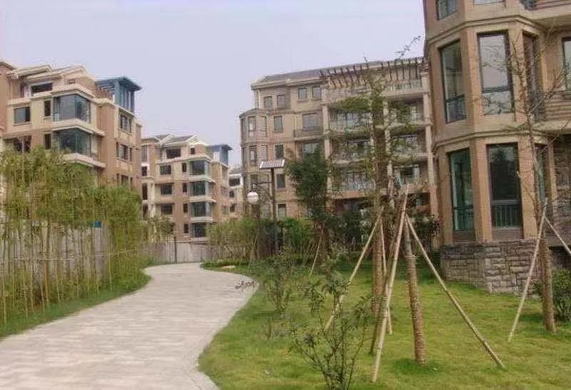 杭州网红大楼租金下降背后的科技重塑与城市魅力变迁！