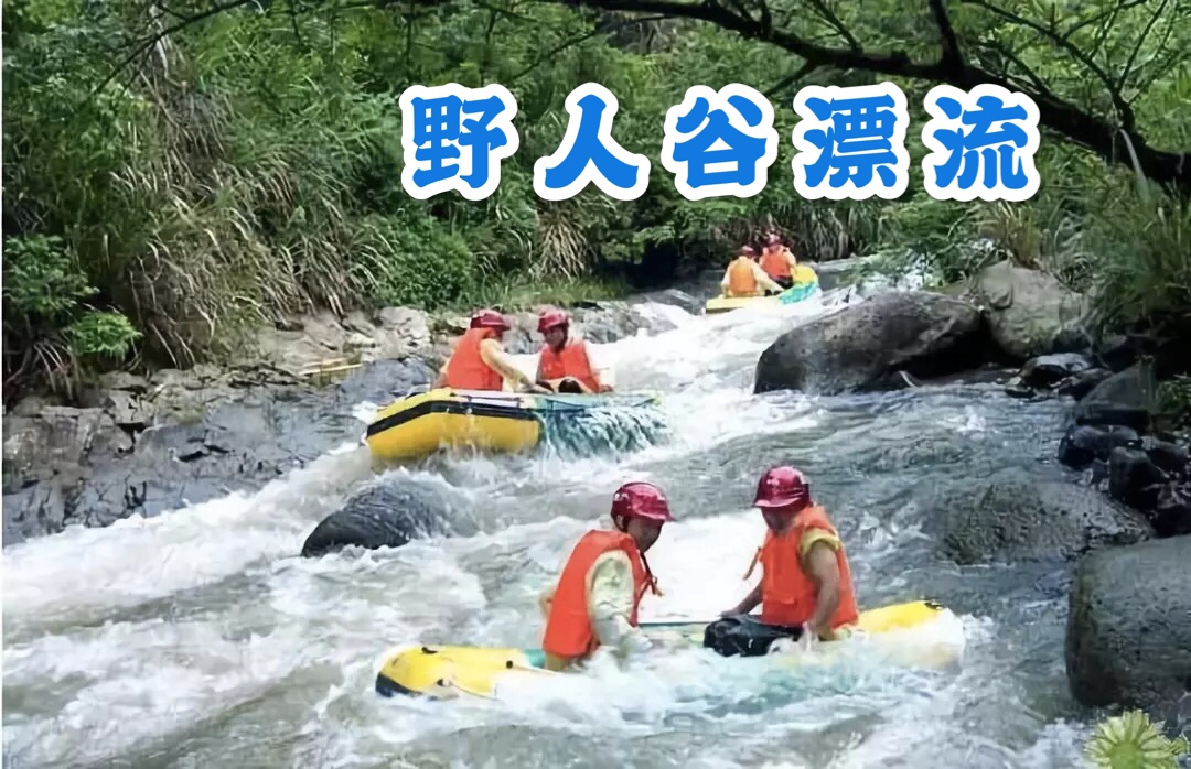 第3455页