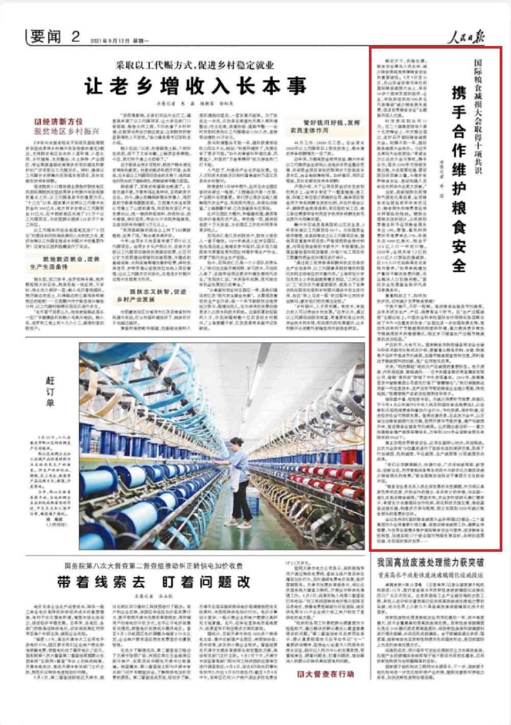 粮食安全之重，全球影响与稳定天下的关键角色