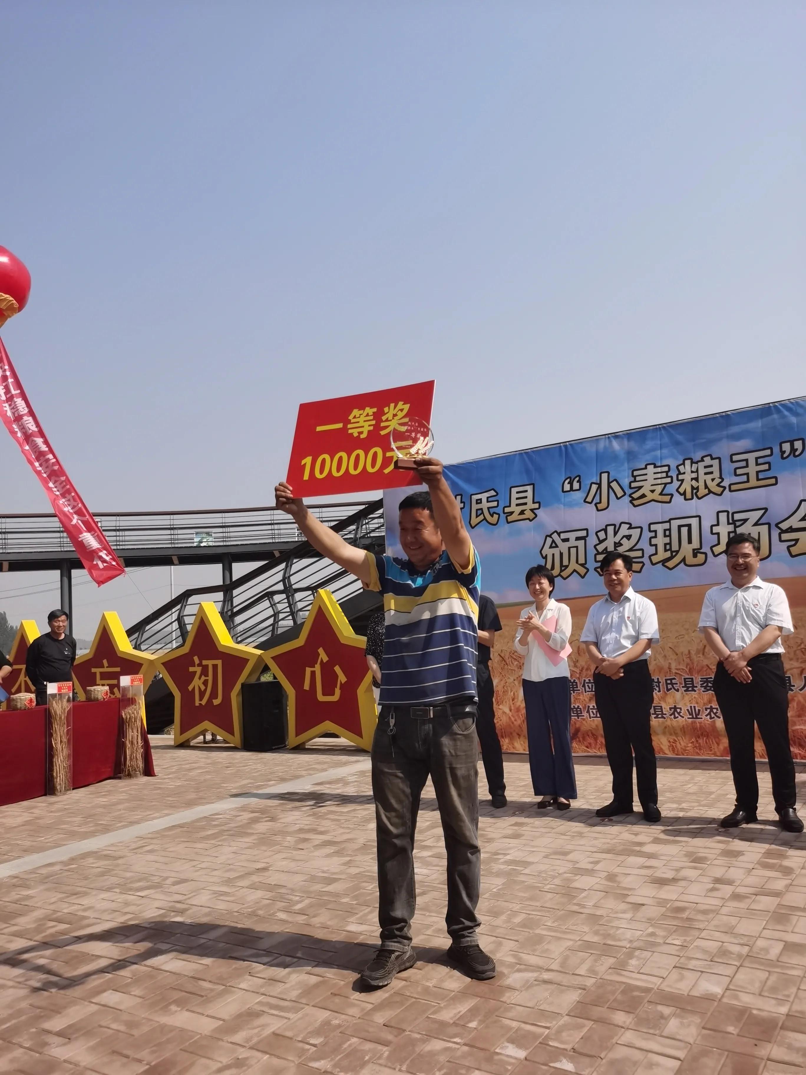 粮食安全之重，全球影响与稳定天下的关键角色