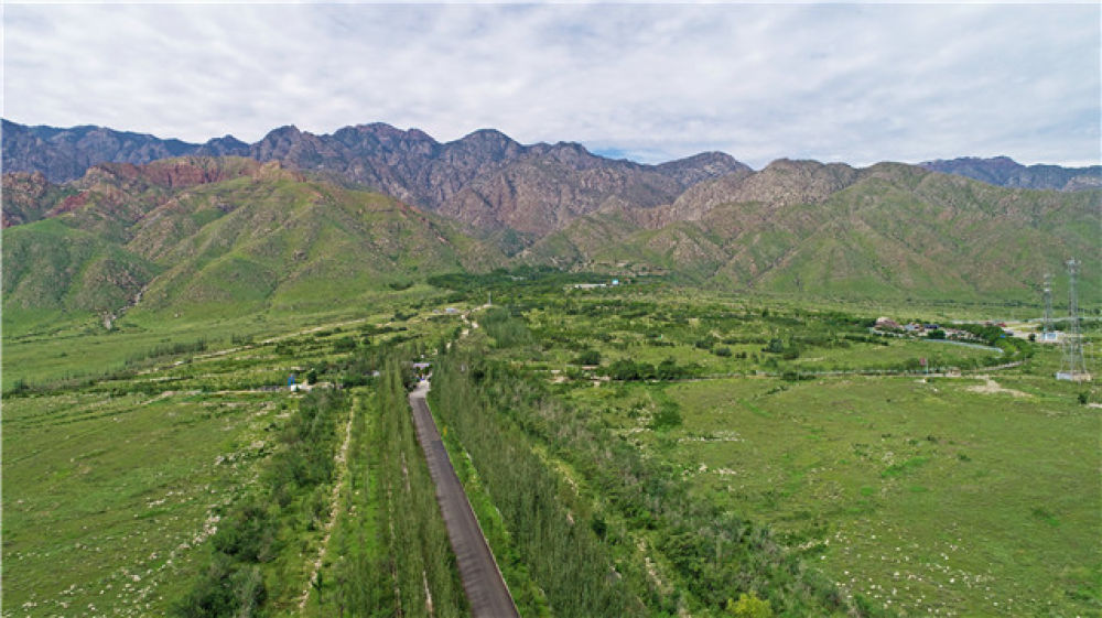 假住院骗保事件背后的心灵探寻，寻找内心的宁静绿洲之旅