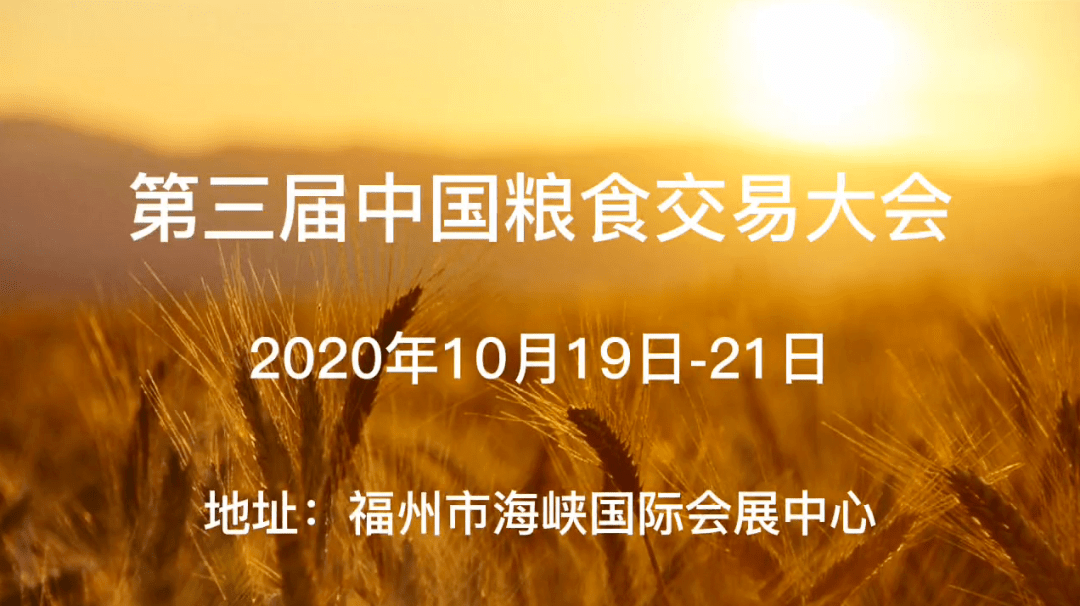 粮食安全之重，全球影响与稳定天下的关键角色