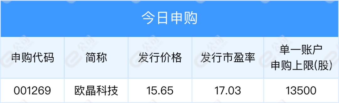 美股收跌后的自然之旅，寻找内心的平静绿洲