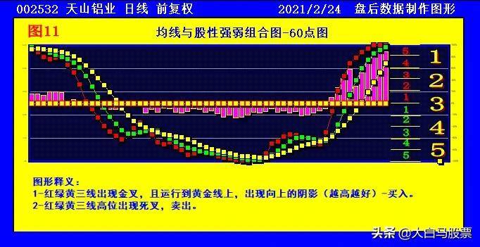 2024今天澳门买什么好,综合判断解析解答_时尚版CJR808.14