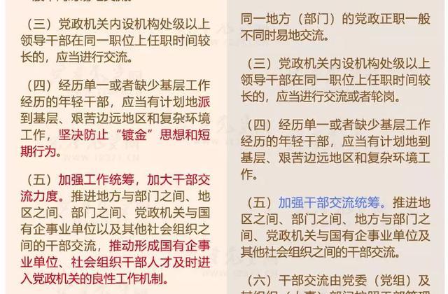 2024正版资料大全好彩网,时代资料解释落实_圣宫境ZGX194.52