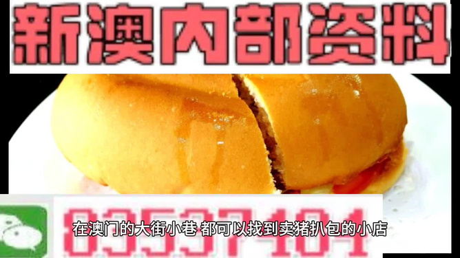 澳门最精准的资料免费公开,动态词语解析_天极境WZK873.19