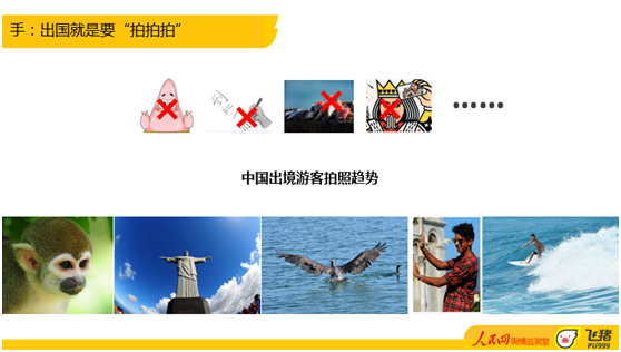 2024新版跑狗图库大全,植物保护_动灵境HIJ450.57
