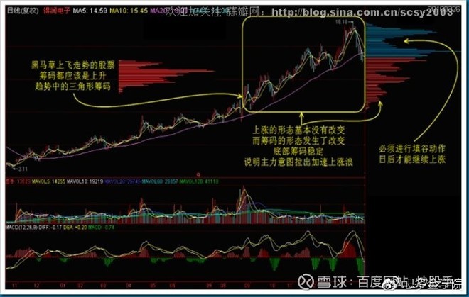 澳门100%最准一肖,应用统计_仙帝ZUV297.25
