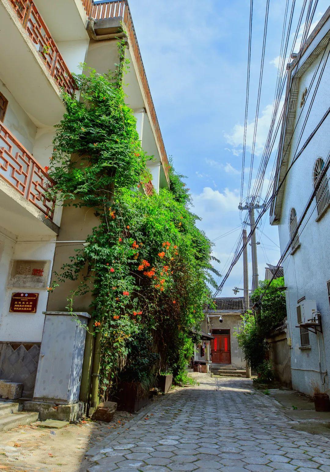 拖鞋大哥