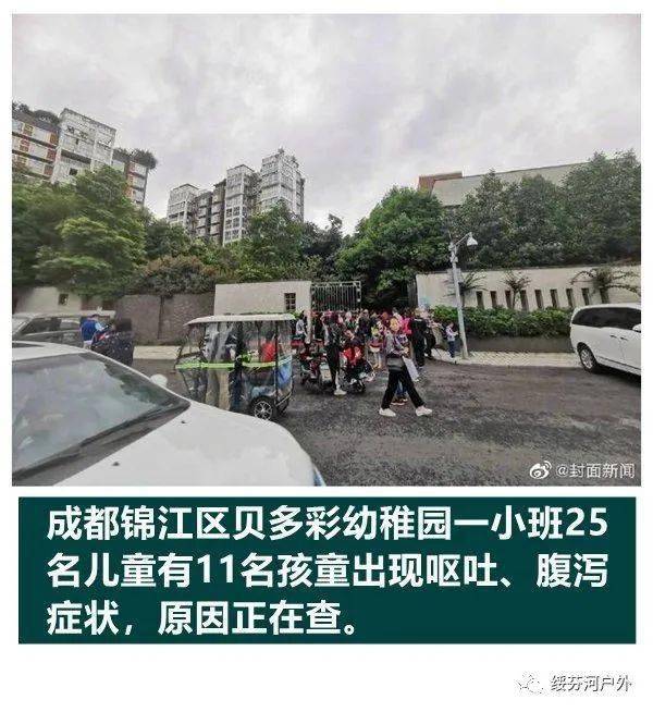 石家庄最新新闻事件揭秘，小巷深处的独特风味
