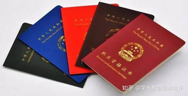 职称最新动态，更新消息与温馨日常体验