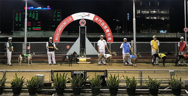 澳门新开奖+实时开奖信息，LFA68.140美学版迅速响应