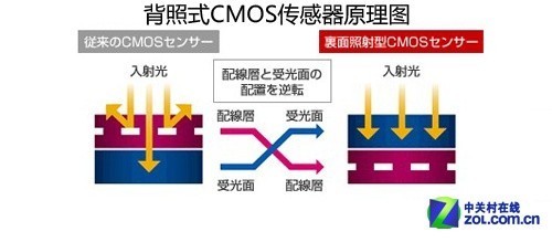 跑狗论坛定量解析版块，YHK68.793便携版深度解析