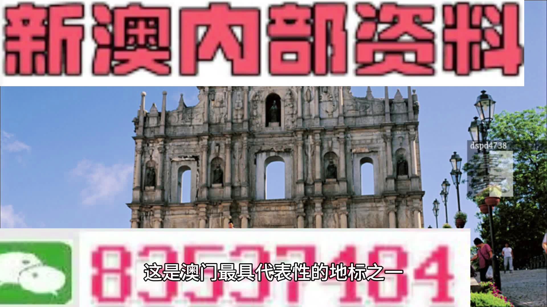 新澳门正版资料免费公开澳2024,迅速解答解释落实_PT95.392