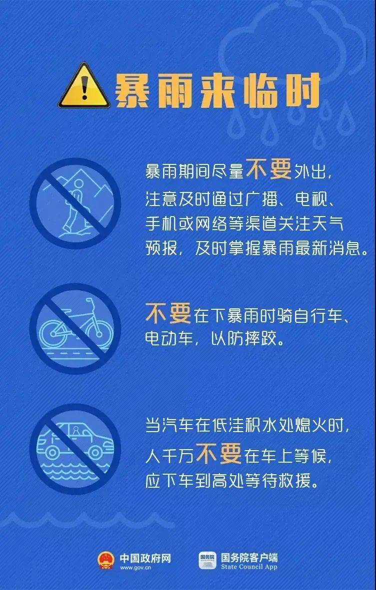 新奥门特免费资料大全火凤凰，高速响应执行计划_Console21.55.74
