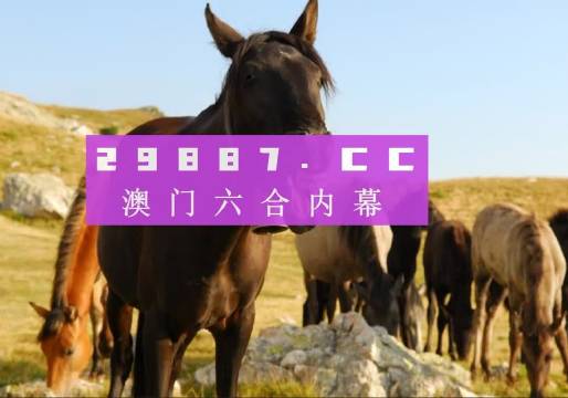 2023管家婆资料正版大全澳门，创新性计划解析_尊享款55.56.25