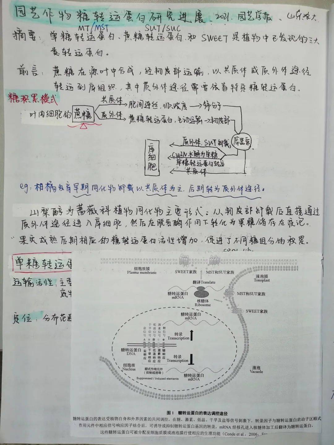 澳门一码一肖一待一中四不像,水产基础医学_法则神祗AZN823.77