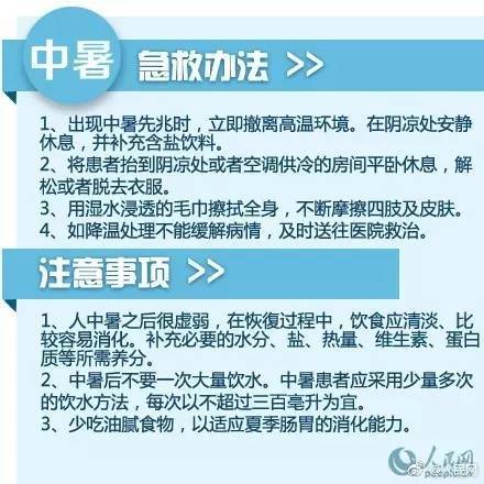 新澳门2024免费瓷料大全,安全解析策略_简便版WBY887.46