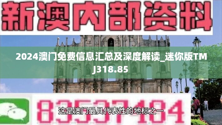 2024澳门免费素材攻略：正版资料汇编及动态方案详解_TAZ165.68亲和版