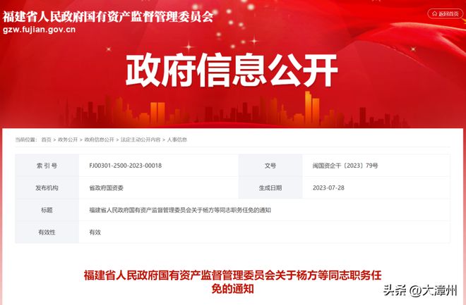 中国最新人事任免详解指南，从入门到进阶的全方位指南