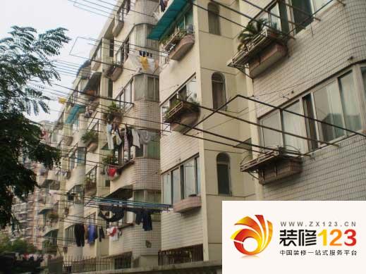 嘉善最新房价揭秘，巷弄深处的惊喜房源