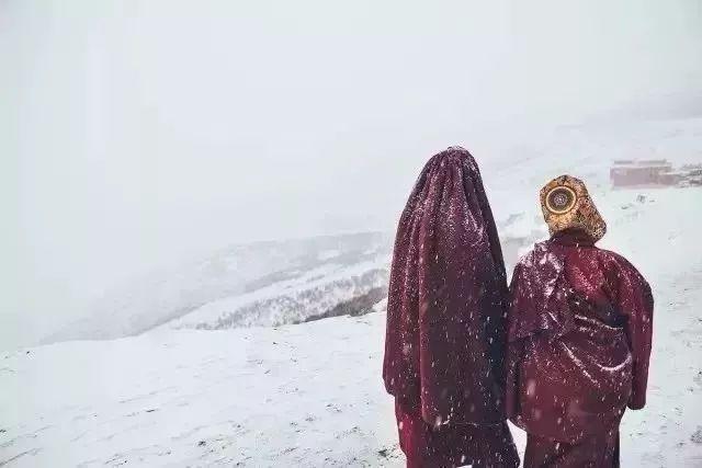 探索自然美景的旅行，最新劫视频带你寻找内心平和之地