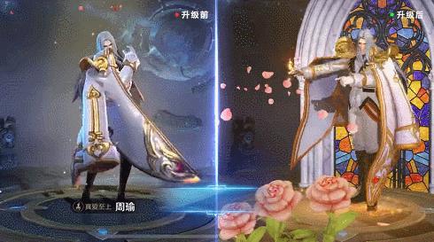 最新世界拳王争霸赛，荣耀与实力的巅峰对决