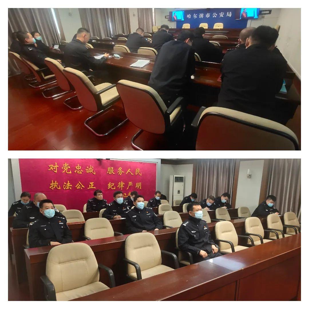 科技与艺术重塑观影体验