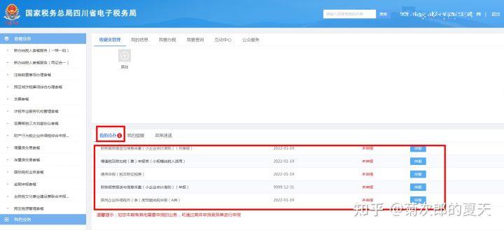 最新报税流程详解，全面论述与指导