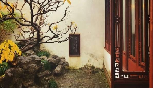 风吟鸟唱最新动态报道