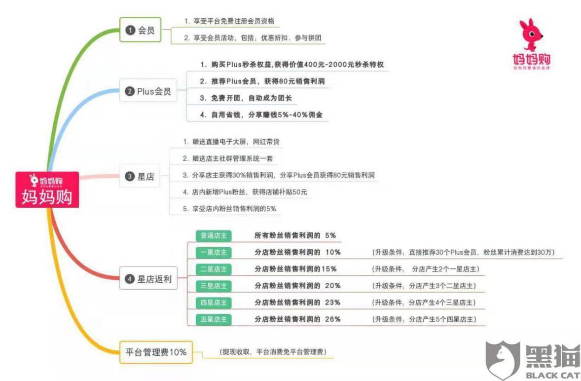 贝因美最新动态，铸就母婴产业的稳固基石