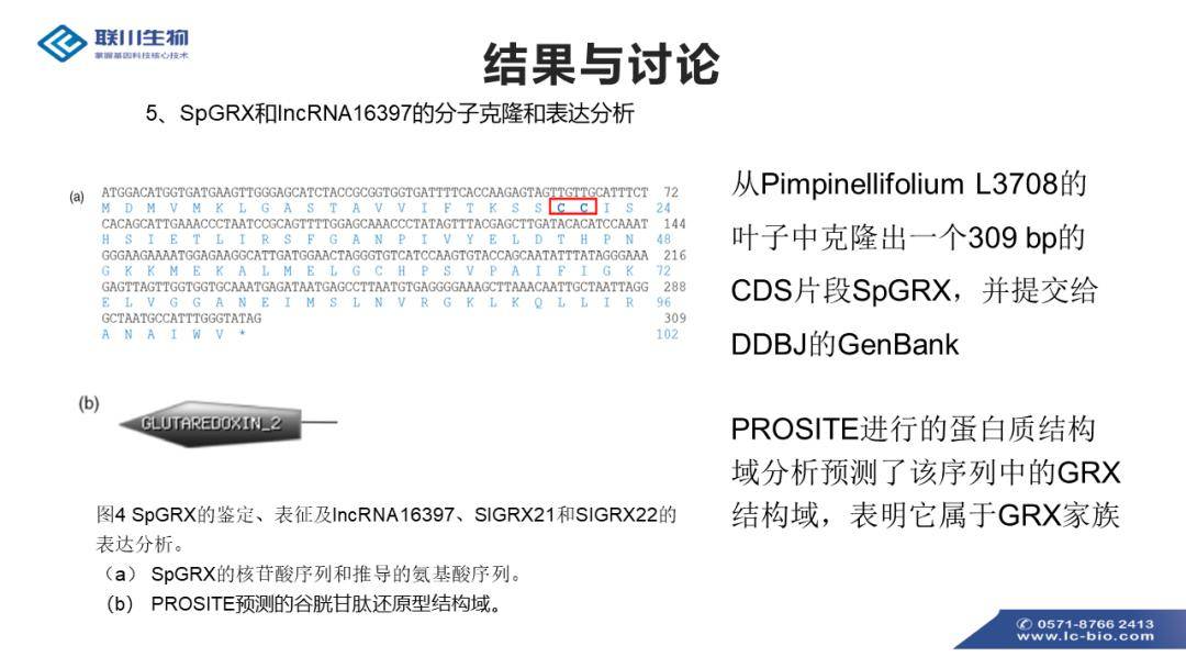 全新澳版资料集免费分享，高效执行方案实施_THM1.40.53升级版