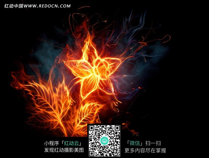 新疆火炬最新动态