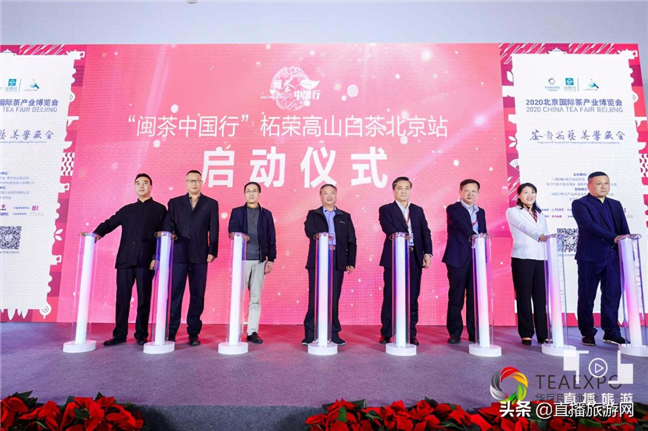 大益茶官网最新价格