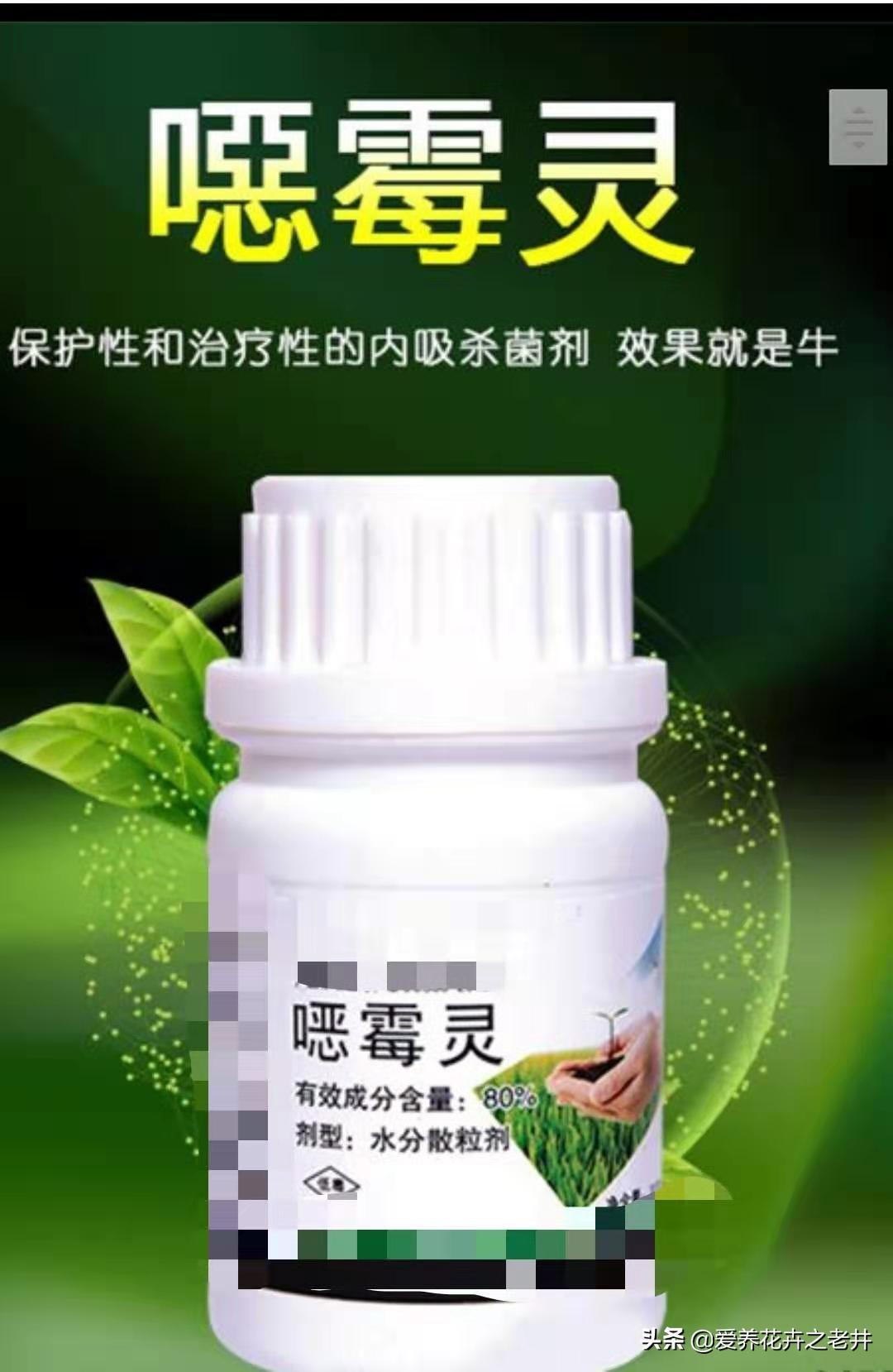 最新杀菌剂大全,最新杀菌剂大全——科技守护生活，杀菌革新未来