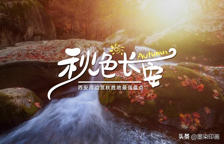 娱乐报道大揭秘