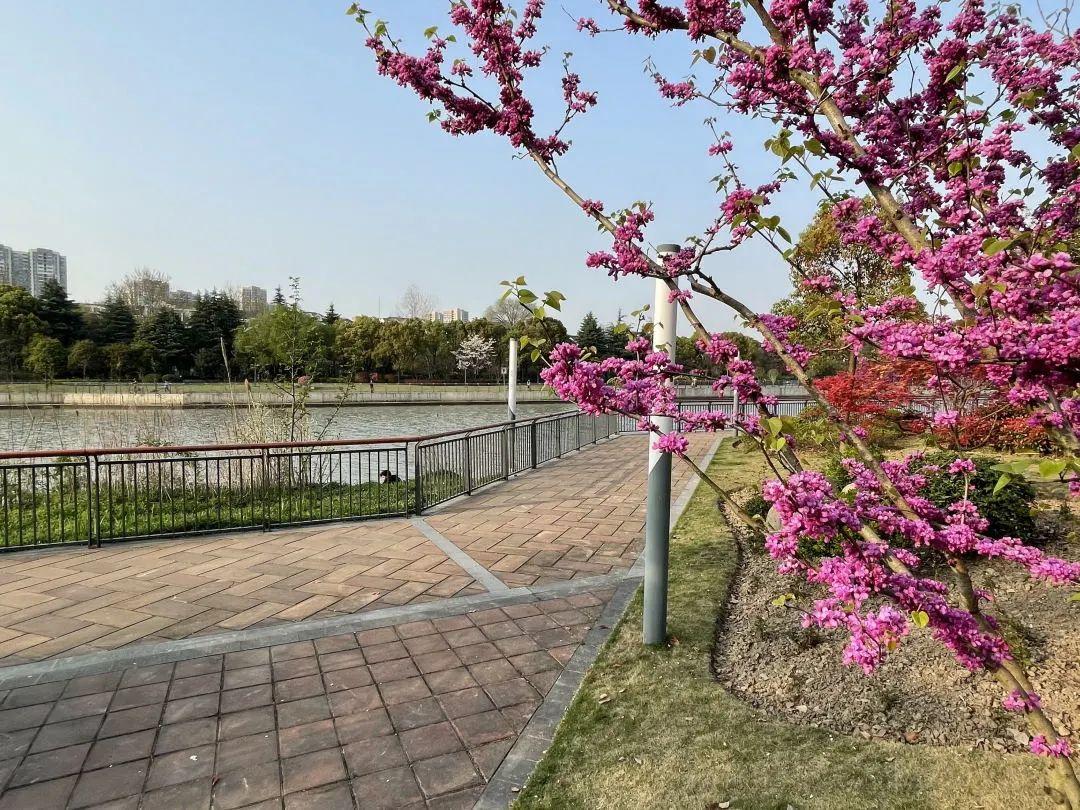 探索自然美景，最新版框架之旅