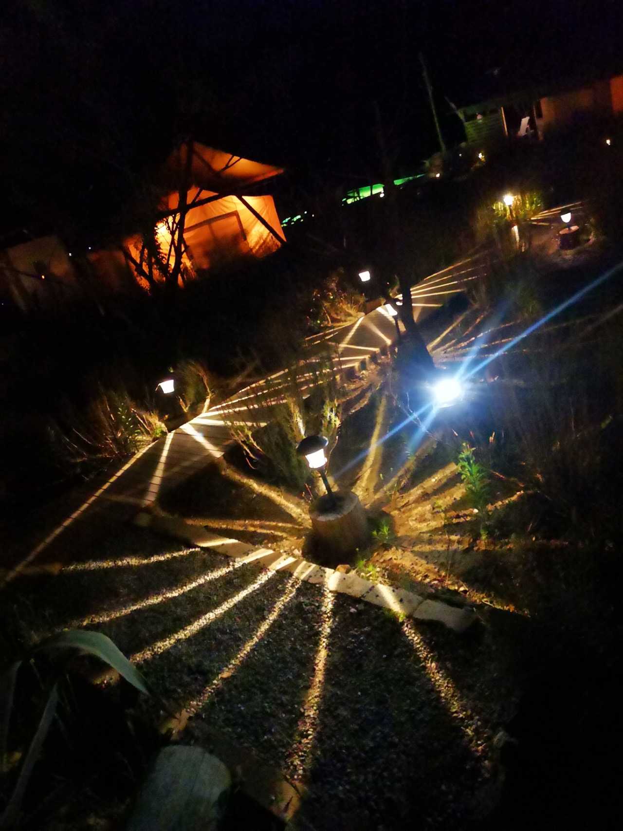 自然美景的心灵之旅，最新视频之夜探之旅