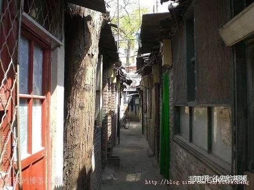 增城最新招聘揭秘，小巷特色小店中的隐藏宝藏之旅