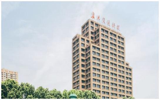 观点分析与立场阐述