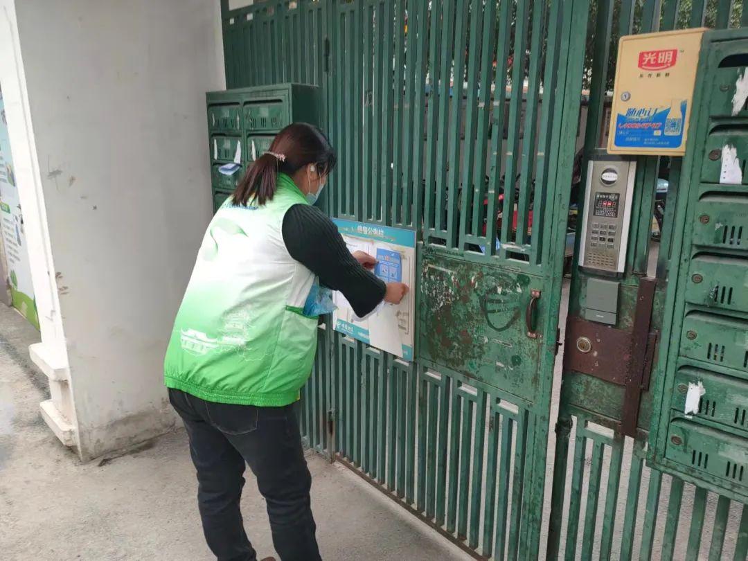 最新电影犬引领高科技观影体验，开启未来生活新风尚