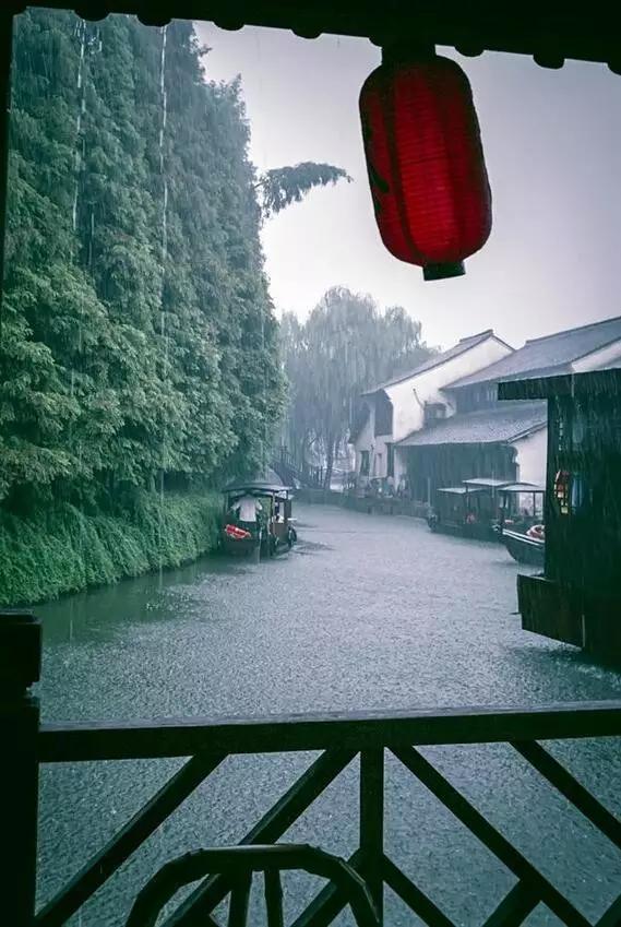 网易最新动态揭秘，小巷特色小店惊喜之旅