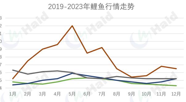 鲤鱼最新价格走势分析
