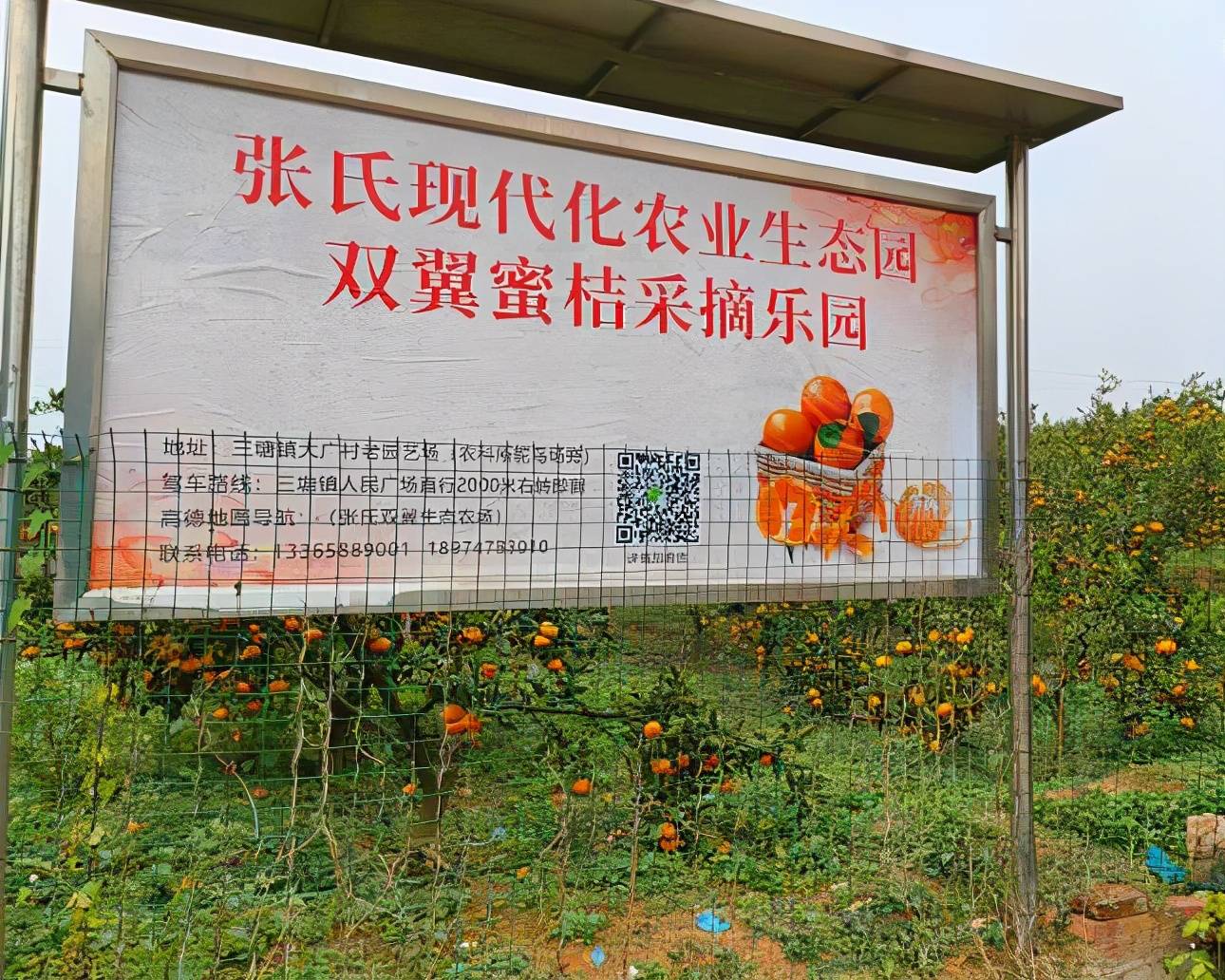 与自然的美好相遇