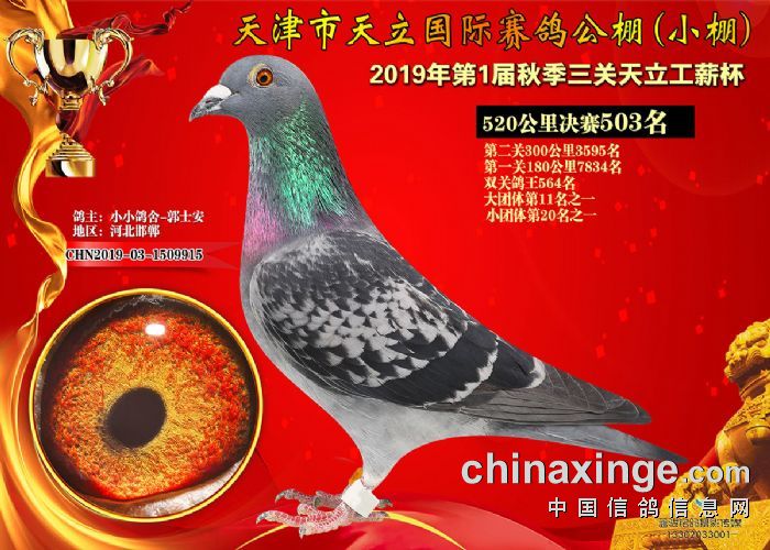 天宇公棚最新公告