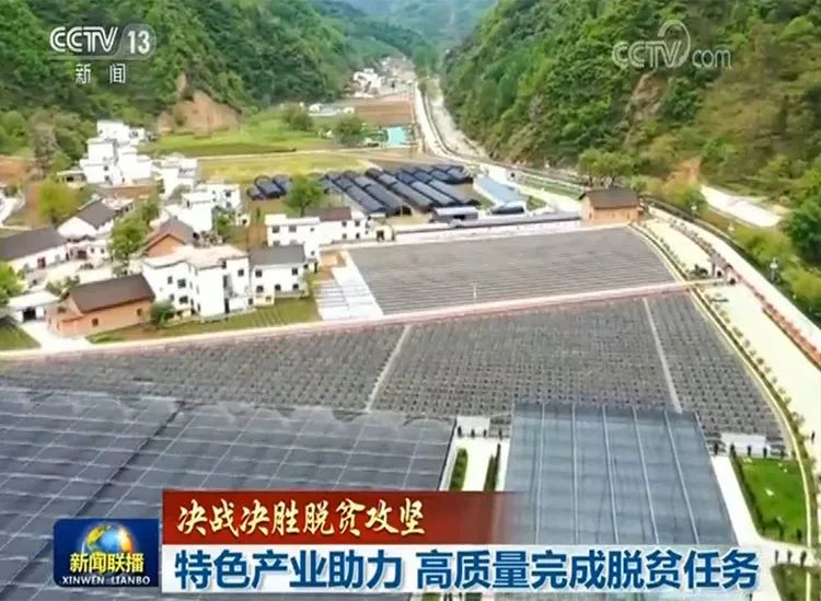 小巷深处的特色小店新机遇