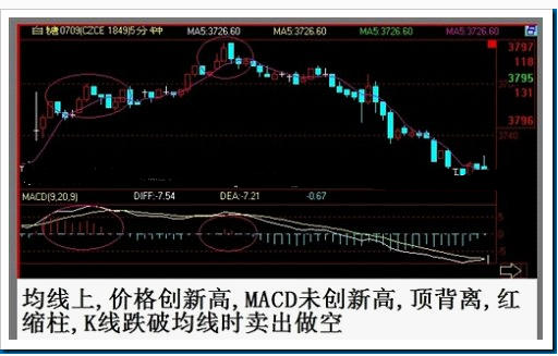 股票最新情况详解指南，最新动态与深度解析