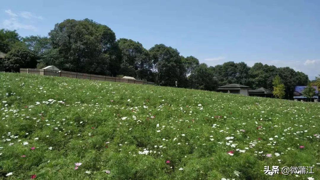 石象湖门票最新资讯，开启自然探索之旅，寻觅内心宁静之地